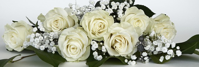 svatební bílé růže